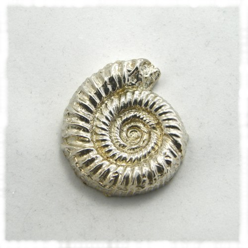 Silver ammonite paperweight